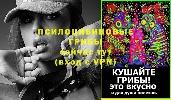 стаф Нязепетровск