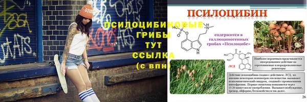 MESCALINE Няндома
