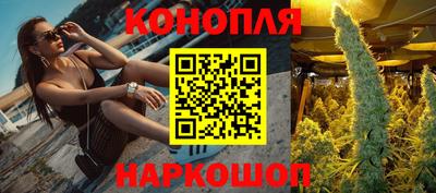 амф Гай
