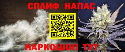 амф Гай