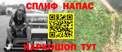 jwh Будённовск