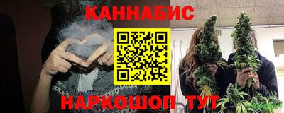 амф Гай