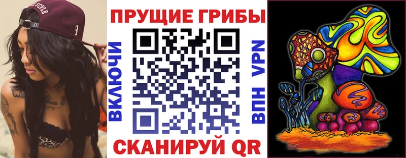 Псилоцибиновые грибы мицелий купить наркоту Барабинск
