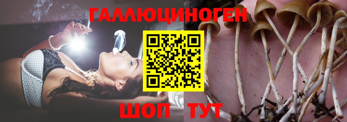 Галлюциногенные грибы Magic Shrooms Барабинск